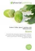 Acorn