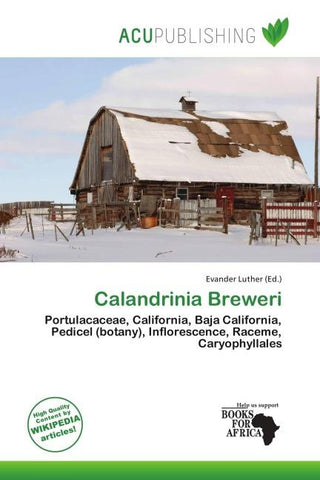 Calandrinia Breweri