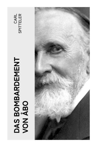 Das Bombardement von Åbo