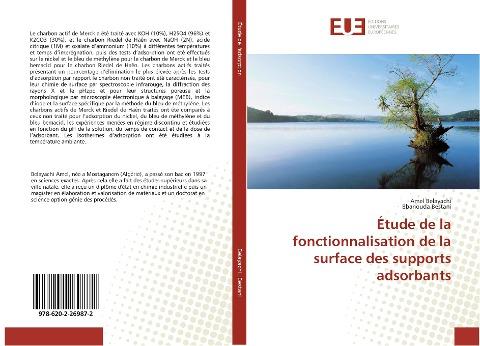 Étude de la fonctionnalisation de la surface des supports adsorbants