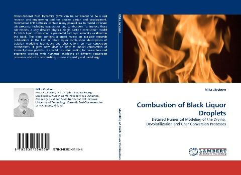 Combustion of Black Liquor Droplets