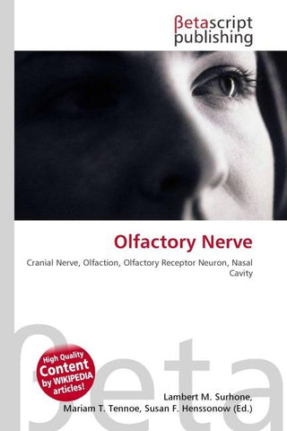 Olfactory Nerve