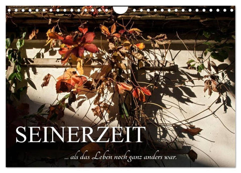 Seinerzeit (Wandkalender 2026 DIN A4 quer), CALVENDO Monatskalender