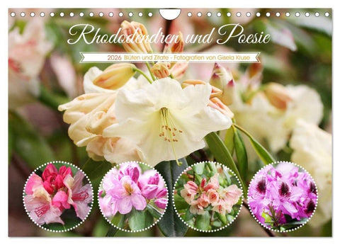 Rhododendren und Poesie (Wandkalender 2026 DIN A4 quer), CALVENDO Monatskalender