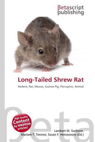 Long-Tailed Shrew Rat