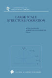 Large Scale Structure Formation
