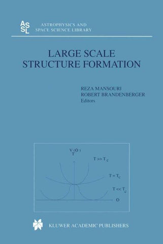 Large Scale Structure Formation