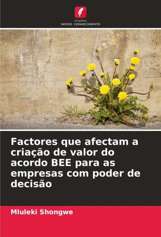 Factores que afectam a criação de valor do acordo BEE para as empresas com poder de decisão
