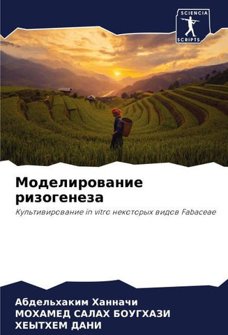 Modelirowanie rizogeneza
