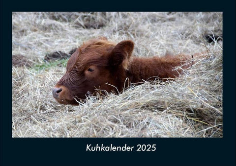 Kuhkalender 2025 Fotokalender DIN A4