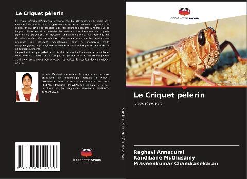 Le Criquet pèlerin