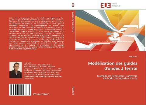Modélisation des guides d'ondes à ferrite