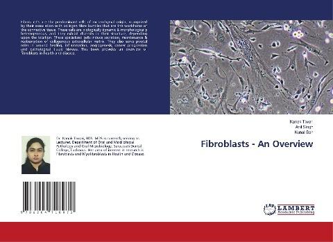 Fibroblasts - An Overview
