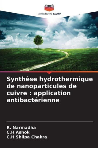 Synthèse hydrothermique de nanoparticules de cuivre : application antibactérienne