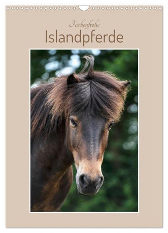 Farbenfrohe Islandpferde (Wandkalender 2026 DIN A3 hoch), CALVENDO Monatskalender
