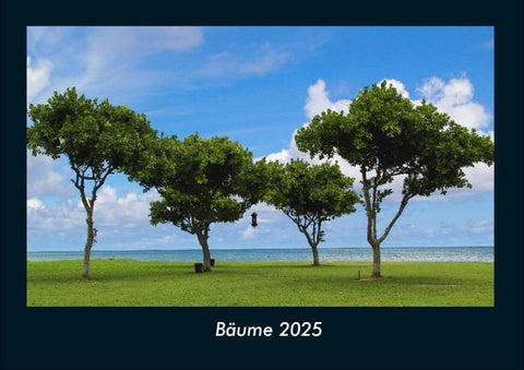 Bäume 2025 Fotokalender DIN A4