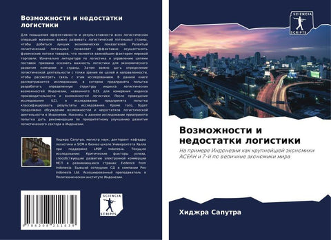 Vozmozhnosti i nedostatki logistiki