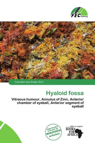 Hyaloid fossa