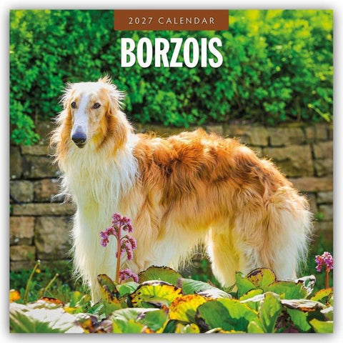 Borzois – Barsoi – Barzaia – Russischer Wolfshund 2027 – 16-Monatskalender