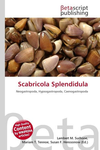 Scabricola Splendidula