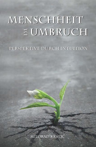 Menschheit im Umbruch. Perspektive durch Intuition