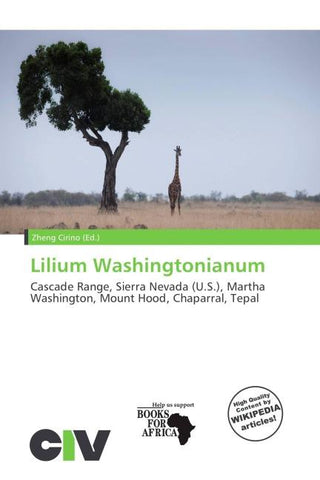 Lilium Washingtonianum