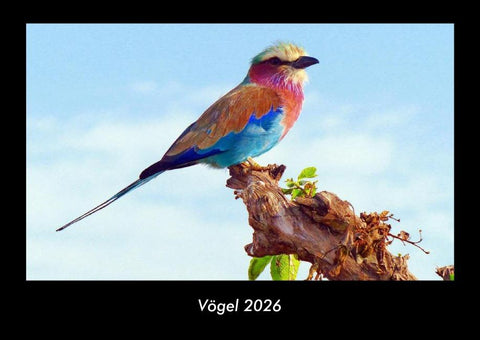 Vögel 2026 Fotokalender DIN A3
