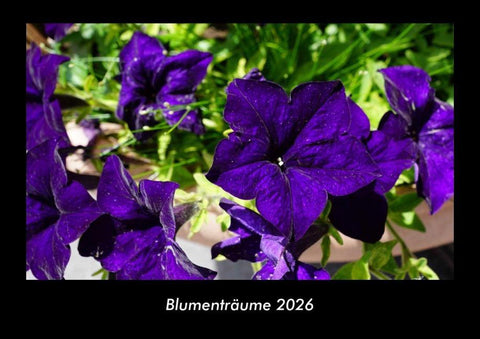 Blumenträume 2026 Fotokalender DIN A3