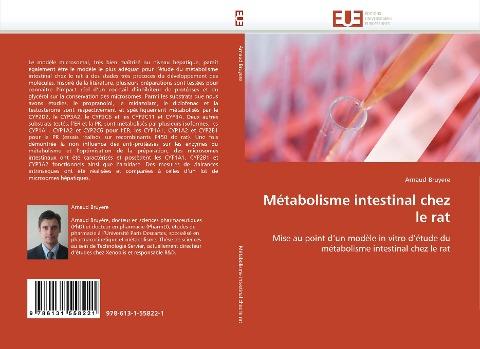 Métabolisme intestinal chez le rat
