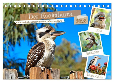 Der Kookaburra - Im australischen Busch mit dem lachenden Hans (Tischkalender 2026 DIN A5 quer), CALVENDO Monatskalender