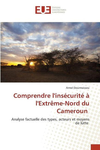 Comprendre l'insécurité à l'Extrême-Nord du Cameroun