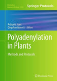 Polyadenylation in Plants