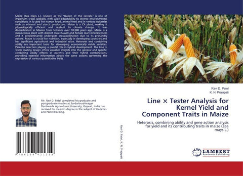Line × Tester Analysis for Kernel Yield and Component Traits in Maize