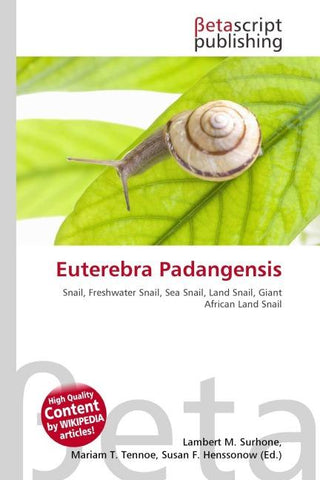 Euterebra Padangensis