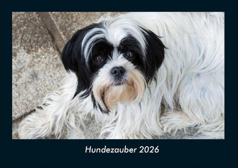 Hundezauber 2026 Fotokalender DIN A4