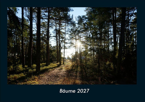 Bäume 2027 Fotokalender DIN A4