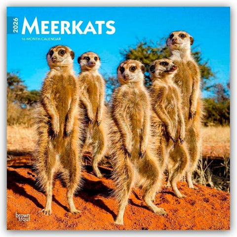 Meerkats - Erdmännchen 2026 - 16-Monatskalender