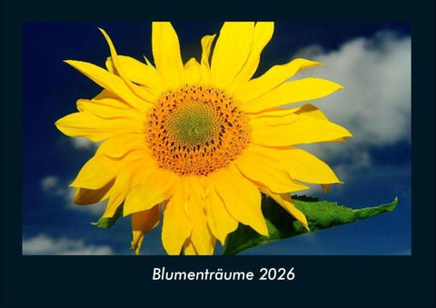 Blumenträume 2026 Fotokalender DIN A4