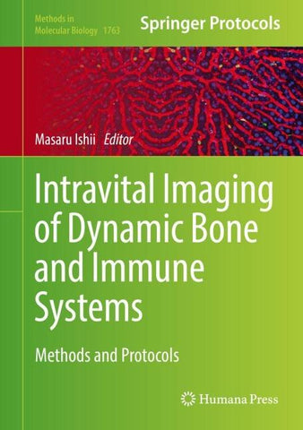 Intravital Imaging of Dynamic Bone and Immune Systems