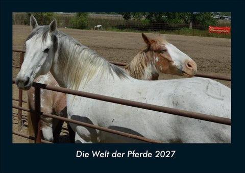 Die Welt der Pferde 2027 Fotokalender DIN A4