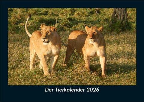 Der Tierkalender 2026 Fotokalender DIN A5