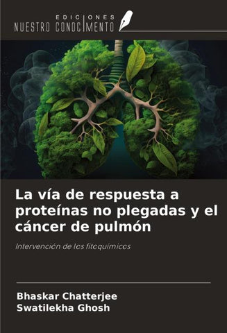 La vía de respuesta a proteínas no plegadas y el cáncer de pulmón