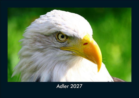 Adler 2027 Fotokalender DIN A5
