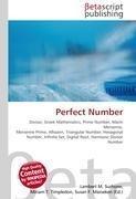 Perfect Number