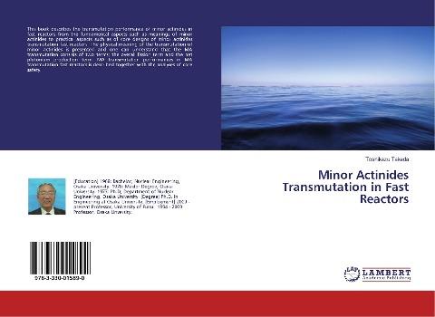Minor Actinides Transmutation in Fast Reactors
