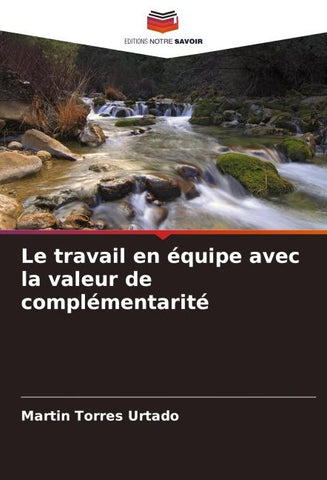 Le travail en équipe avec la valeur de complémentarité