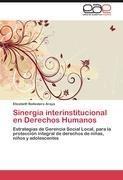 Sinergia interinstitucional en Derechos Humanos