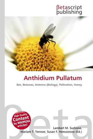Anthidium Pullatum