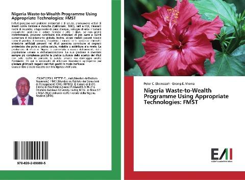 Nigeria Waste-to-Wealth Programme Using Appropriate Technologies: FMST