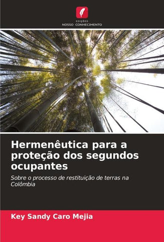 Hermenêutica para a proteção dos segundos ocupantes